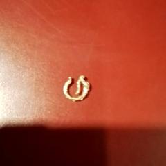 Pendente, segundo informou Apenheul usando iLost