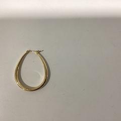 Boucle d'oreille Goudkleurig -270226 HANS1, a été signalé par Ziggo Dome utilisant iLost