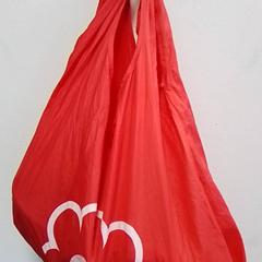Bag, as reported by Hermes Eindhoven using iLost