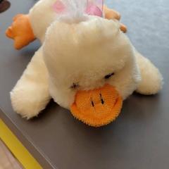 Labazada cariñosa, segundo informou IKEA Nantes usando iLost