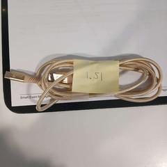 Cable rose goud, segundo informou Cursus en vergadercentrum Domstad usando iLost