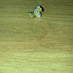 귀걸이, iLost를 사용하여 Attractie- & Vakantiepark Slagharen에 보고됨