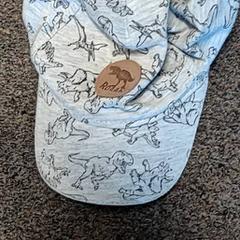 Petje kind grijs met dino's, gemeldet von Burgers' Zoo über iLost