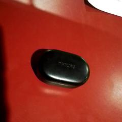 Earphones, as reported by Apenheul using iLost