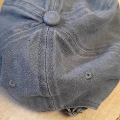 Cap, segundo informou Dolfinarium usando iLost