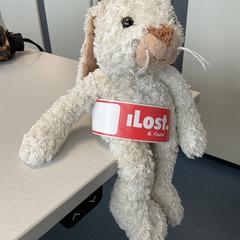 Knuffel Konijn, ako bolo nahlásené Breng Arnhem pomocou iLost