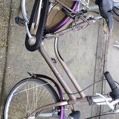 Dámské kolo Altra, jak nahlášeno Stadswerk072 pomocí iLost