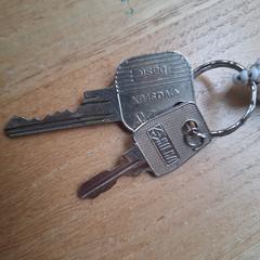 Sleutelbos, som rapportert til iLost