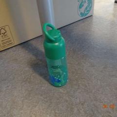 Fles groen met dino's, zoals gemeld door Gemeente Leopoldsburg met iLost