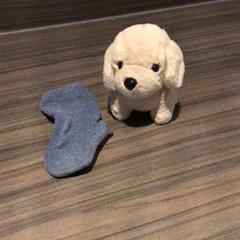 كنوفل & جورب، كما تم الإبلاغ عنه بواسطة Van der Valk Hotel Zwolle عبر iLost