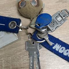 Schlüssel, gemeldet von EBS Spijkenisse über iLost