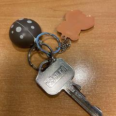 İLost kullanarak Politiezone Rivierenland tarafından bildirildiği gibi Anahtar