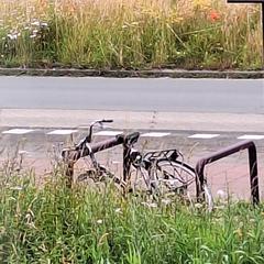 Fiets، كما تم الإبلاغ عنه عبر iLost