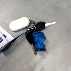 Key, as reported by Arriva Friesland / Groningen using iLost