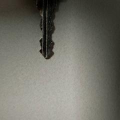 Claus, segons ha informat Centraal magazijn mitjançant iLost