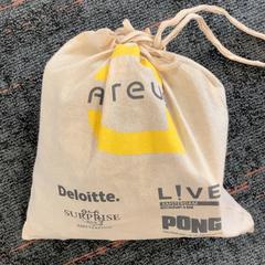 Linen Bag, as reported by Connexxion Amstelland-Meerlanden Schiphol Zuid using iLost