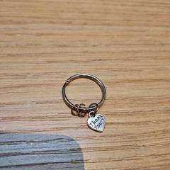 Giltza-giltza zilver, staal, gisa salatu by Rijksmuseum van Oudheden iLost erabiliz