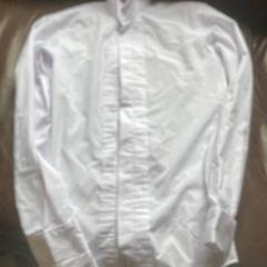 Blusa, ha sido reportado por Groepsaccomodatie Kasteel de Berckt con iLost