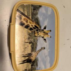 Carmanyola plastic, geel, giraffe, segons ha informat Avonturenpark Hellendoorn mitjançant iLost