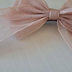 Haarklip がiLostで Madurodam によって報告されました