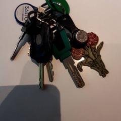 Bossleutel, zgłoszono przez Campus Den Haag przy użyciu iLost