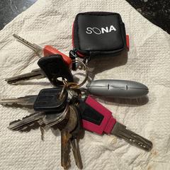 Sleutelbos, jak bylo nahlášeno na iLost