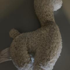 꼭 껴안고 싶은 장난감, iLost를 사용하여 Pathé Groningen에 보고됨