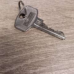 Llave, ha sido reportado por EBS Spijkenisse con iLost