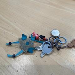 Kľúčenka, ako bolo nahlásené Gemeente Gooise Meren pomocou iLost