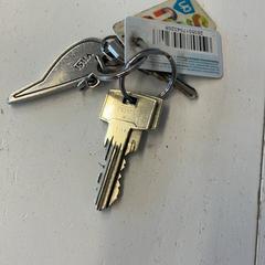 İLost kullanarak GVB tarafından bildirildiği gibi Anahtar