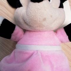 Knuffel, gemeldet von Qbuzz Fryslân über iLost