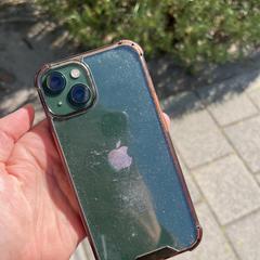 Iphone, as reported to iLost