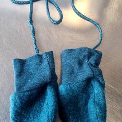 Guants Blauw, segons ha informat Burgers' Zoo mitjançant iLost