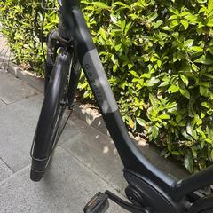 Gazelle Fiets, ha sido reportado a iLost