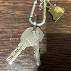 키체인 - 300425 PILOT, iLost를 사용하여 Ziggo Dome에 보고됨