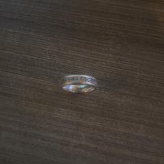 Bague, a été signalé par Van der Valk Hotel Haarlem utilisant iLost