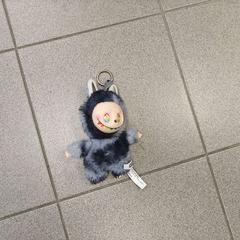 Popje، كما تم الإبلاغ عنه بواسطة Regio Oost-Vlaanderen عبر iLost