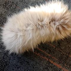 Schal Grijs bont, gemeldet von Connexxion Amstelland-Meerlanden Schiphol Zuid über iLost