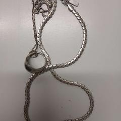 ネックレス zilver がiLostで Rock Werchter によって報告されました