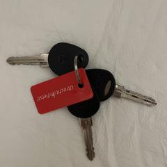 Fietsensleutels, som rapporterats till iLost