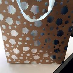 İLost kullanarak Connexxion Zeeuws-Vlaanderen tarafından bildirildiği gibi Çanta Bruin zilver