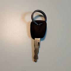 Key, as reported by Diergaarde Blijdorp using iLost