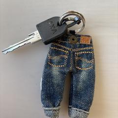 Sleutel met sleutelhanger fiets a été signalé sur iLost