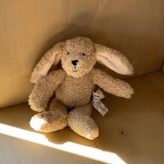 Puppen Beige, gemeldet von Familie Resort Molenwaard über iLost