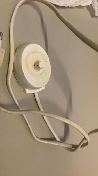 Adapter & Toothbrush charger White