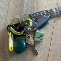 Sleutelbos، كما تم الإبلاغ عنه عبر iLost