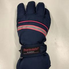Handschoen blauw, ha sido reportado por Apenheul con iLost