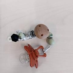 Trayon aan naamhanger, a été signalé par Arriva Limburg Zuid utilisant iLost