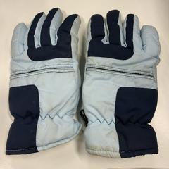 İLost kullanarak Apenheul tarafından bildirildiği gibi Handschoenen