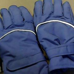 Gants, a été signalé par SnowWorld Landgraaf utilisant iLost